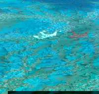 Scenic Flight - Great Barrier Reef Heart Reef Whitehaven Beach  Hill Inlet - Accommodation Nelson Bay