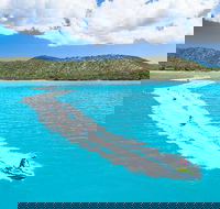 Whitsundays Jet Ski Tour - Accommodation Nelson Bay