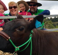 Mackay's Day in the Clouds Paddock to Plate Tour - Accommodation Nelson Bay