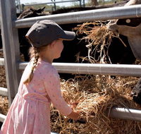 Mackay Farm Food and Flavours Tour - Accommodation Nelson Bay