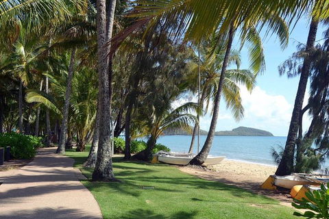 Palm Cove, Clifton Beach, Kewarra Beach To/from Cairns - Accommodation Nelson Bay 0