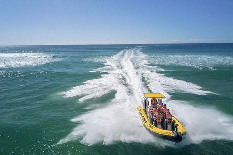 Noosa Oceanrider - Thrill Ride - Accommodation Nelson Bay 2