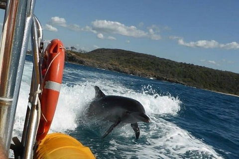 Noosa Oceanrider - Thrill Ride - Accommodation Nelson Bay 4