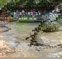 Hartley's Crocodile Adventures General Entry Ticket - Accommodation Nelson Bay