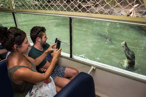 Hartley\'s Crocodile Adventures General Entry Ticket - Accommodation Nelson Bay 1