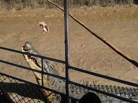 Litchfield And Jumping Crocodiles Full Day Trip From Darwin - Accommodation Nelson Bay 5