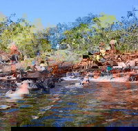 Litchfield and Jumping Crocodiles Full Day Trip from Darwin - Nelsons Bay Accommodation