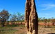 Litchfield And Jumping Crocodiles Full Day Trip From Darwin - thumb 4