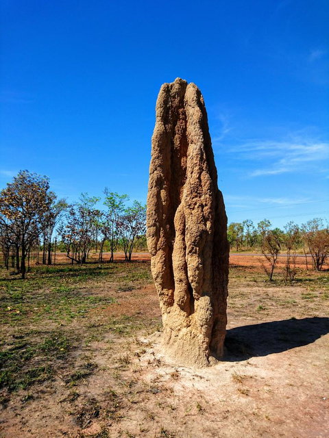 Litchfield And Jumping Crocodiles Full Day Trip From Darwin - Accommodation Nelson Bay 4