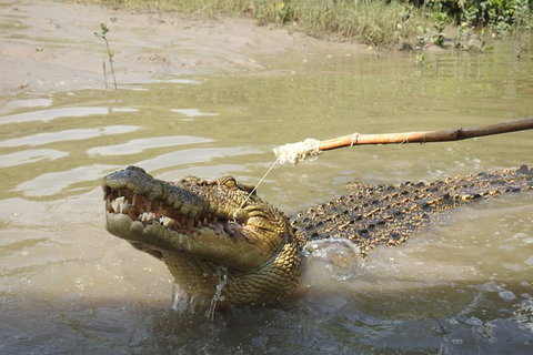 Litchfield And Jumping Crocodiles Full Day Trip From Darwin - Accommodation Nelson Bay 17