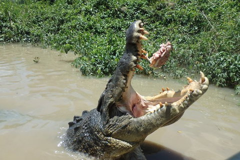 Litchfield And Jumping Crocodiles Full Day Trip From Darwin - Accommodation Nelson Bay 18
