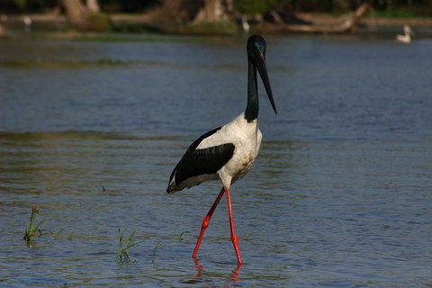 Litchfield And Jumping Crocodiles Full Day Trip From Darwin - Accommodation Nelson Bay 13