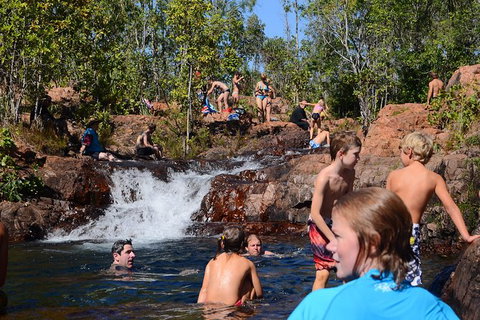 Litchfield And Jumping Crocodiles Full Day Trip From Darwin - Accommodation Nelson Bay 10