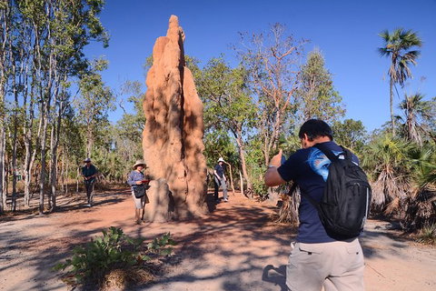 Litchfield And Jumping Crocodiles Full Day Trip From Darwin - Accommodation Nelson Bay 16