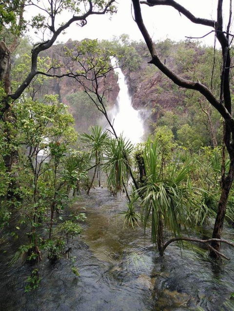 Small-Group Litchfield National Park Day Trip From Darwin - Accommodation Nelson Bay 6