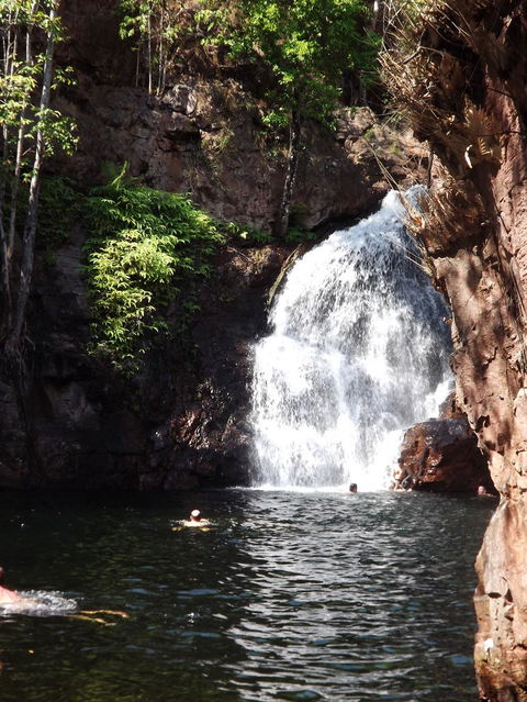 Small-Group Litchfield National Park Day Trip From Darwin - Accommodation Nelson Bay 13