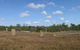 Small-Group Litchfield National Park Day Trip From Darwin - thumb 10
