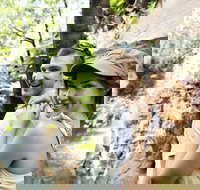 Small-Group Litchfield National Park Day Trip from Darwin - Nelsons Bay Accommodation