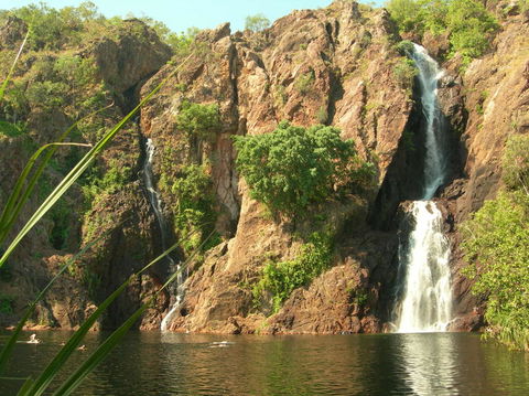 Small-Group Litchfield National Park Day Trip From Darwin - Accommodation Nelson Bay 15