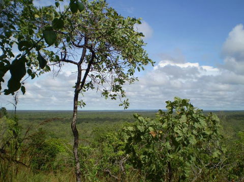 Small-Group Litchfield National Park Day Trip From Darwin - Accommodation Nelson Bay 8