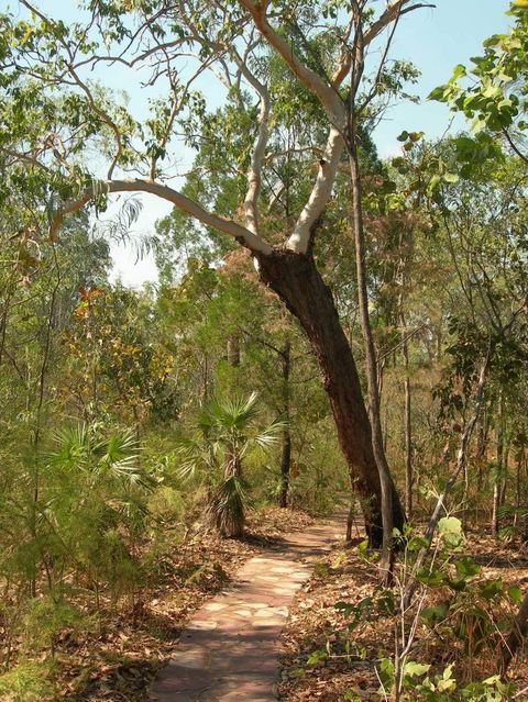 Small-Group Litchfield National Park Day Trip From Darwin - Accommodation Nelson Bay 14