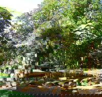 Darwin Afternoon Sightseeing Tour - Nelsons Bay Accommodation