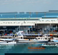 Darwin Harbour Bombing of Darwin Cruise - Nelsons Bay Accommodation