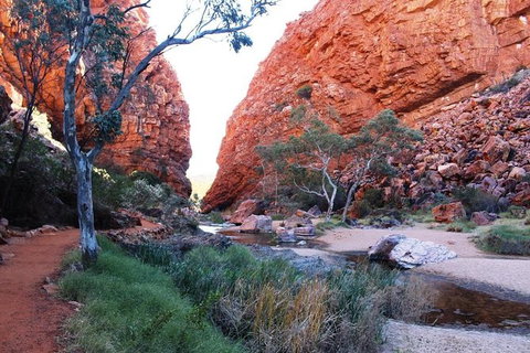 Half Day MacDonnell Ranges Small Group - Private Guided Tour - Nelson Bay Accommodation.com 0