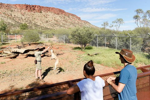 Alice Springs Desert Park General Entry Ticket - Accommodation Nelson Bay 9