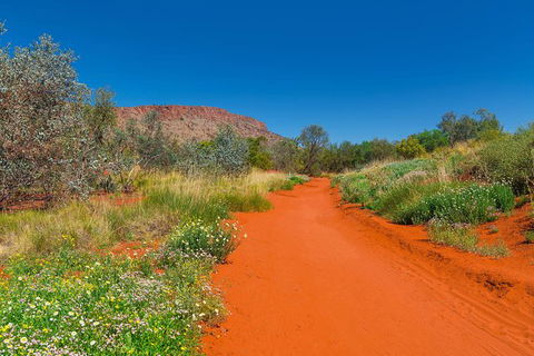 Alice Springs Desert Park General Entry Ticket - Accommodation Nelson Bay 7