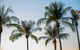 Darwin City Sightseeing Tour With Optional Sunset Cruise - thumb 1