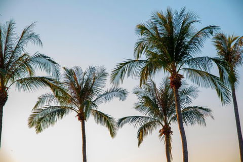 Darwin City Sightseeing Tour With Optional Sunset Cruise - Accommodation Nelson Bay 1