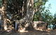 Darwin Walking Tour: World War II Reflections - thumb 6
