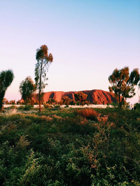 Uluru & Kata Tjuta Sights & Sounds - Accommodation Nelson Bay 3