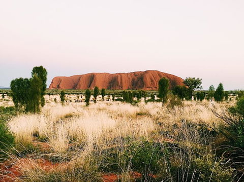 Uluru & Kata Tjuta Sights & Sounds - Accommodation Nelson Bay 4