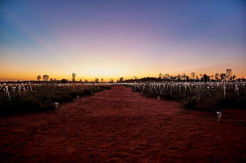 Uluru & Kata Tjuta Sights & Sounds - Accommodation Nelson Bay 16
