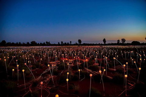 Uluru & Kata Tjuta Sights & Sounds - Accommodation Nelson Bay 8