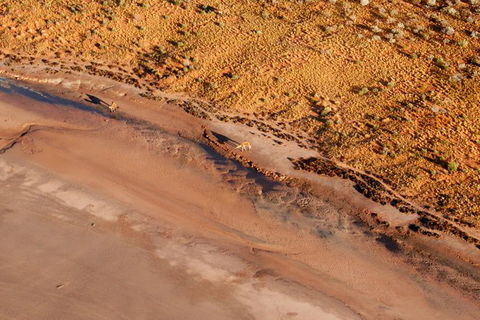Scenic Flight: Lizard Safari - Accommodation Nelson Bay 1