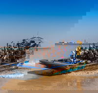 1 Hour Darwin Airboat Tours - Accommodation Nelson Bay
