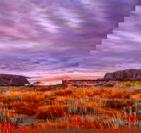 4-Day Camping Trip from Ayers Rock Including Uluru Kata Tjuta and Kings Canyon - Accommodation Nelson Bay