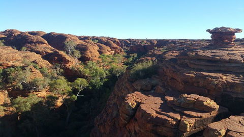 3-Day Tour From Uluru (Ayers Rock) To Alice Springs Via Kings Canyon - Accommodation Nelson Bay 13