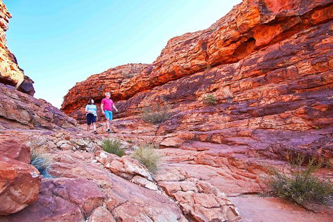 3-Day Tour From Uluru (Ayers Rock) To Alice Springs Via Kings Canyon - Accommodation Nelson Bay 27
