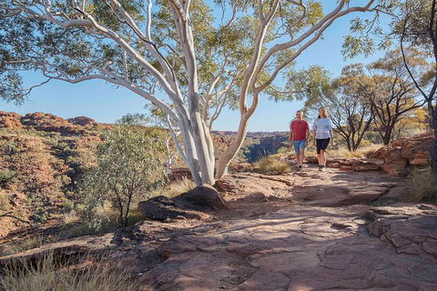 3-Day Tour From Uluru (Ayers Rock) To Alice Springs Via Kings Canyon - Accommodation Nelson Bay 26