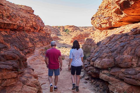 3-Day Tour From Uluru (Ayers Rock) To Alice Springs Via Kings Canyon - Accommodation Nelson Bay 17