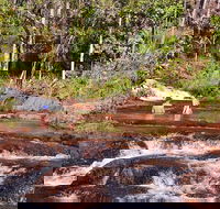 Litchfield National Park Day Tour from Darwin With Waterfalls And Buley Rockhole - Accommodation Nelson Bay