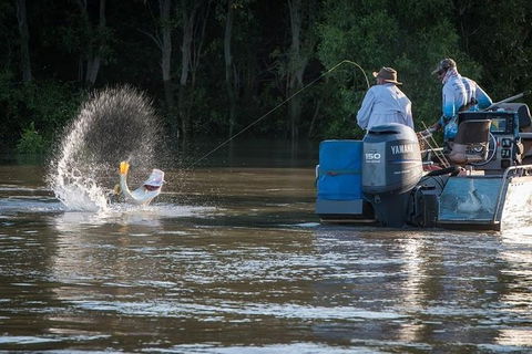 Freshwater Or Saltwater Barramundi Fishing Day Trip From Darwin - Accommodation Nelson Bay 1