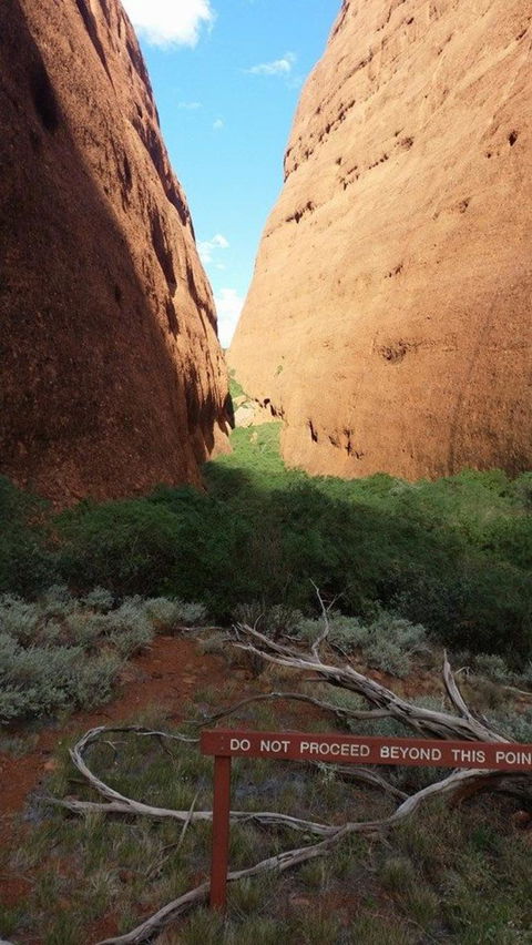 Kata Tjuta Sunrise And Valley Of The Winds Half-Day Trip - Accommodation Nelson Bay 4