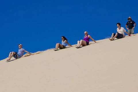 Port Stephens Day Tour From Sydney Including 4WD, Sandboarding And Dolphins - Accommodation Nelson Bay 1