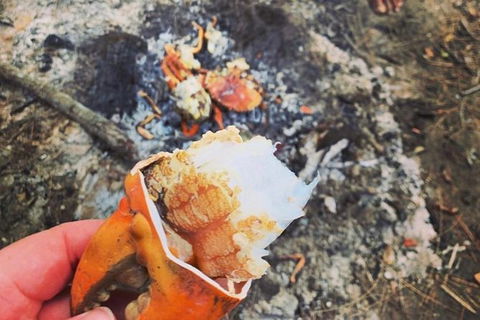 Pot To Plate Adventure - Accommodation Nelson Bay 4