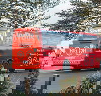 SkyBus Byron Bay Express - Accommodation Nelson Bay